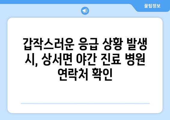 강원도 화천군 상서면 일요일 휴일 공휴일 야간 진료병원 리스트