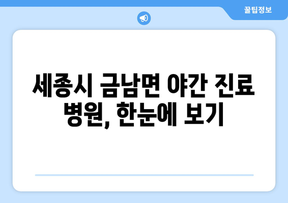 세종시 세종특별자치시 금남면 일요일 휴일 공휴일 야간 진료병원 리스트