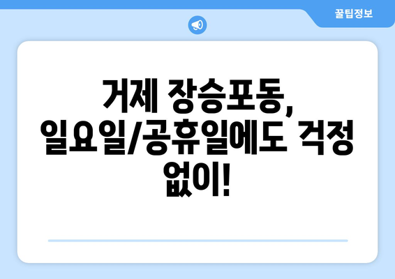 경상남도 거제시 장승포동 일요일 휴일 공휴일 야간 진료병원 리스트