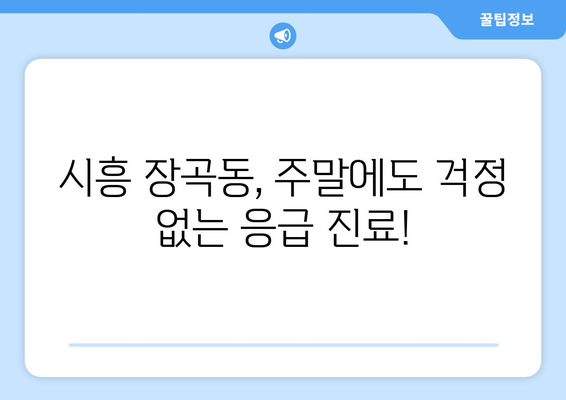 경기도 시흥시 장곡동 일요일 휴일 공휴일 야간 진료병원 리스트