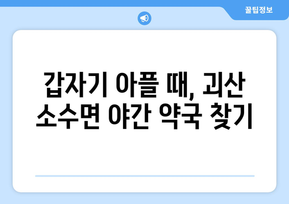 충청북도 괴산군 소수면 24시간 토요일 일요일 휴일 공휴일 야간 약국