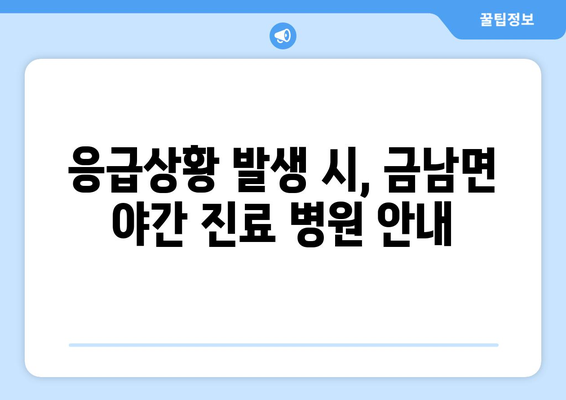 경상남도 하동군 금남면 일요일 휴일 공휴일 야간 진료병원 리스트