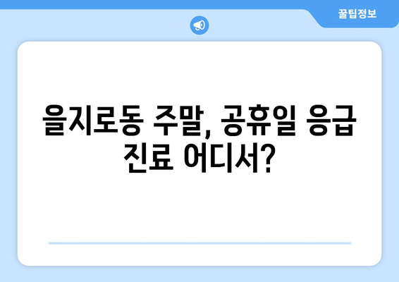 서울시 중구 을지로동 일요일 휴일 공휴일 야간 진료병원 리스트