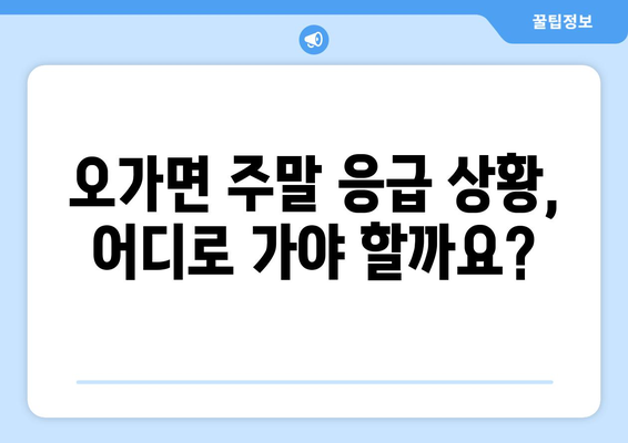 충청남도 예산군 오가면 일요일 휴일 공휴일 야간 진료병원 리스트