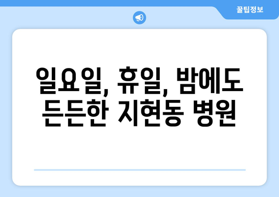 충청북도 충주시 지현동 일요일 휴일 공휴일 야간 진료병원 리스트