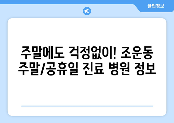 강원도 춘천시 조운동 일요일 휴일 공휴일 야간 진료병원 리스트