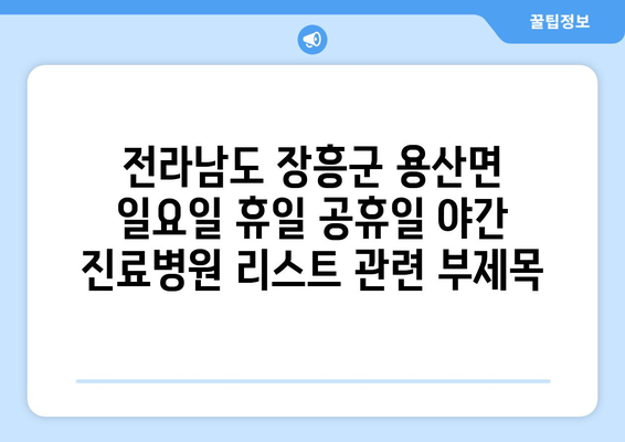 전라남도 장흥군 용산면 일요일 휴일 공휴일 야간 진료병원 리스트