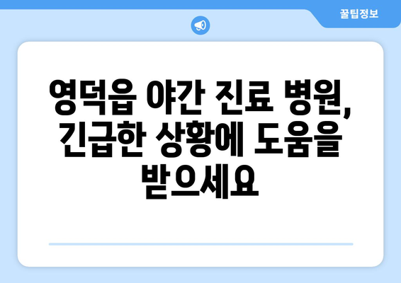 경상북도 영덕군 영덕읍 일요일 휴일 공휴일 야간 진료병원 리스트