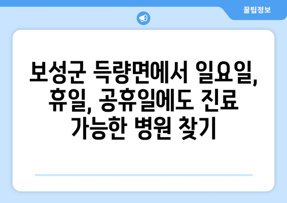 전라남도 보성군 득량면 일요일 휴일 공휴일 야간 진료병원 리스트