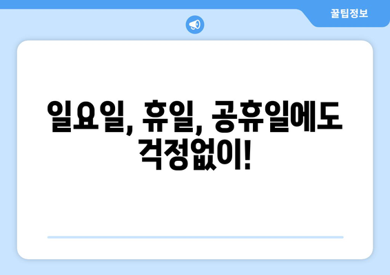 전라남도 장흥군 용산면 일요일 휴일 공휴일 야간 진료병원 리스트