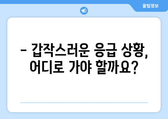 강원도 영월군 서면 일요일 휴일 공휴일 야간 진료병원 리스트