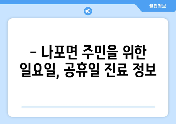 전라북도 군산시 나포면 일요일 휴일 공휴일 야간 진료병원 리스트