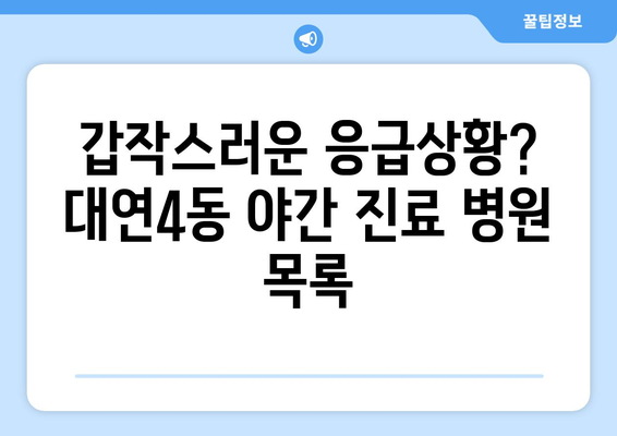 부산시 남구 대연4동 일요일 휴일 공휴일 야간 진료병원 리스트