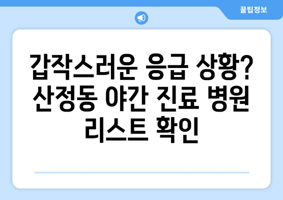 전라남도 목포시 산정동 일요일 휴일 공휴일 야간 진료병원 리스트