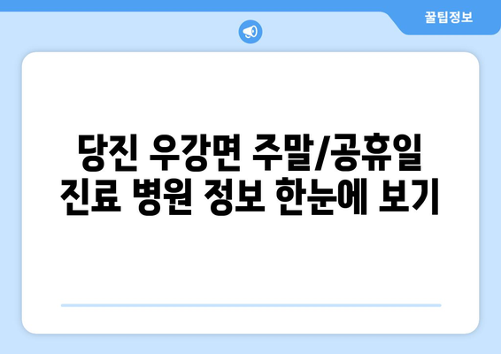 충청남도 당진시 우강면 일요일 휴일 공휴일 야간 진료병원 리스트