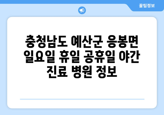 충청남도 예산군 응봉면 일요일 휴일 공휴일 야간 진료병원 리스트