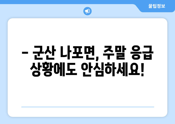 전라북도 군산시 나포면 일요일 휴일 공휴일 야간 진료병원 리스트