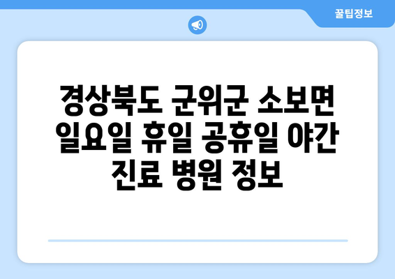 경상북도 군위군 소보면 일요일 휴일 공휴일 야간 진료병원 리스트