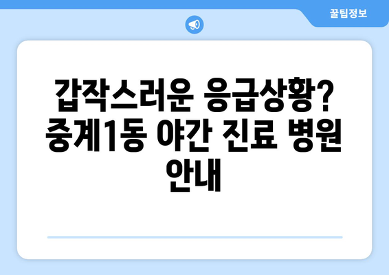 서울시 노원구 중계1동 일요일 휴일 공휴일 야간 진료병원 리스트