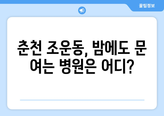 강원도 춘천시 조운동 일요일 휴일 공휴일 야간 진료병원 리스트