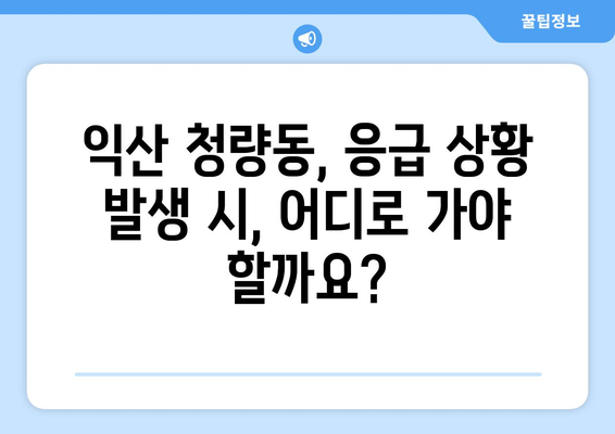 전라북도 익산시 청량동 일요일 휴일 공휴일 야간 진료병원 리스트