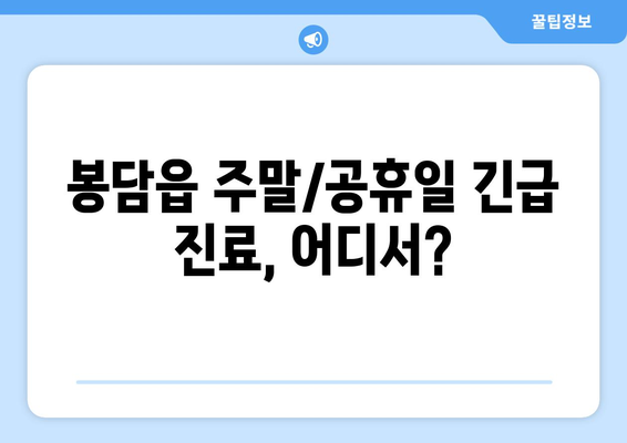 경기도 화성시 봉담읍 일요일 휴일 공휴일 야간 진료병원 리스트