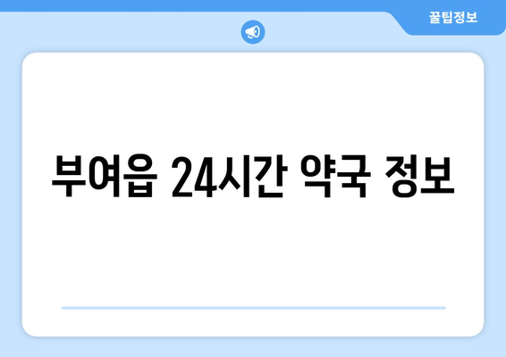 충청남도 부여군 부여읍 24시간 토요일 일요일 휴일 공휴일 야간 약국