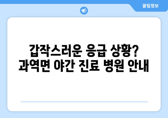 전라남도 고흥군 과역면 일요일 휴일 공휴일 야간 진료병원 리스트