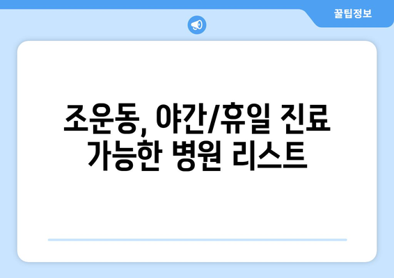 강원도 춘천시 조운동 일요일 휴일 공휴일 야간 진료병원 리스트