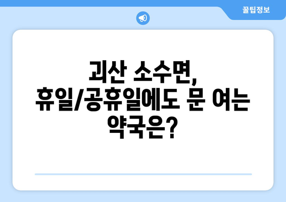 충청북도 괴산군 소수면 24시간 토요일 일요일 휴일 공휴일 야간 약국