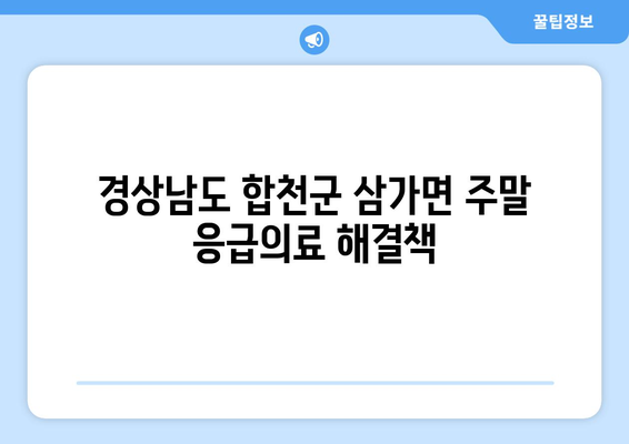 경상남도 합천군 삼가면 일요일 휴일 공휴일 야간 진료병원 리스트