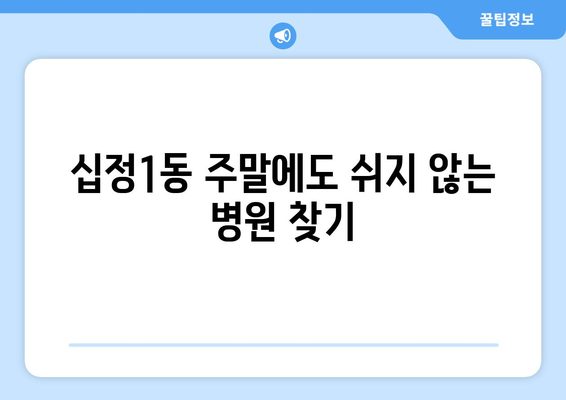 인천시 부평구 십정1동 일요일 휴일 공휴일 야간 진료병원 리스트