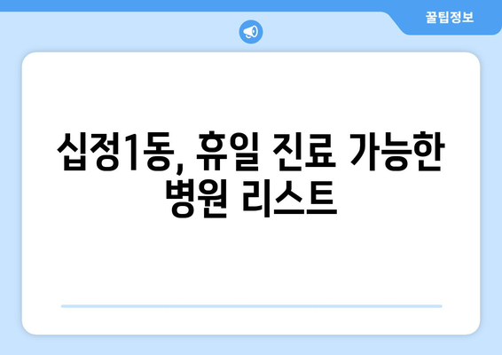 인천시 부평구 십정1동 일요일 휴일 공휴일 야간 진료병원 리스트