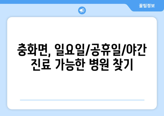 충청남도 부여군 충화면 일요일 휴일 공휴일 야간 진료병원 리스트