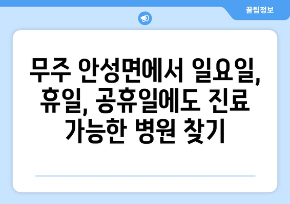 전라북도 무주군 안성면 일요일 휴일 공휴일 야간 진료병원 리스트