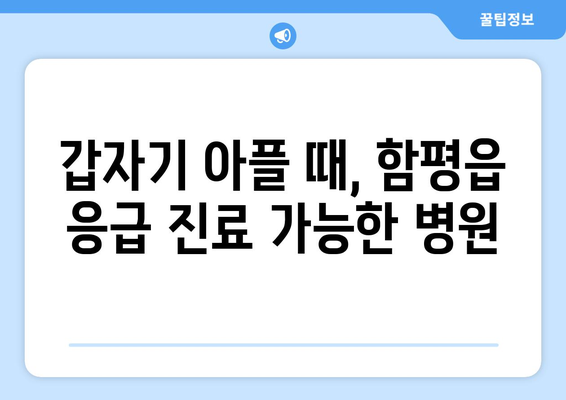 전라남도 함평군 함평읍 일요일 휴일 공휴일 야간 진료병원 리스트