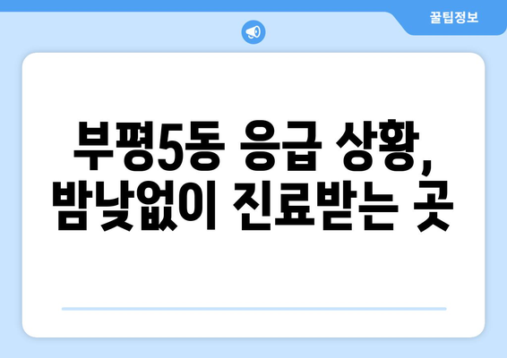 인천시 부평구 부평5동 일요일 휴일 공휴일 야간 진료병원 리스트