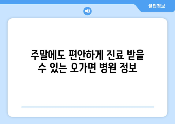 충청남도 예산군 오가면 일요일 휴일 공휴일 야간 진료병원 리스트