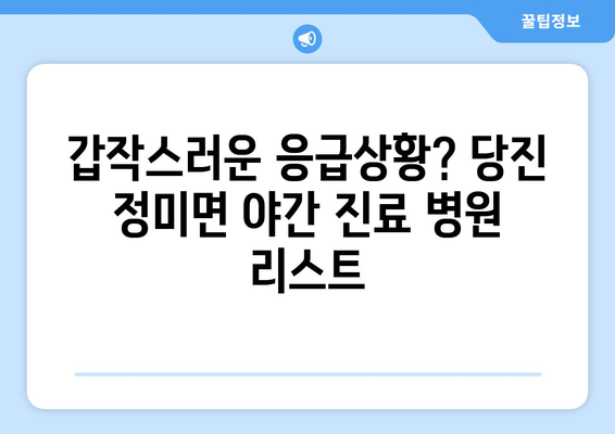 충청남도 당진시 정미면 일요일 휴일 공휴일 야간 진료병원 리스트