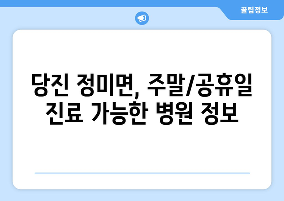 충청남도 당진시 정미면 일요일 휴일 공휴일 야간 진료병원 리스트