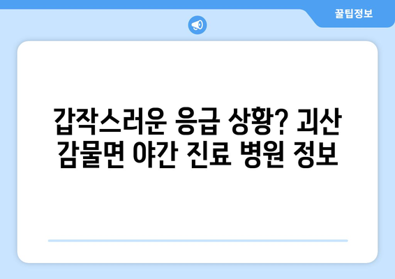 충청북도 괴산군 감물면 일요일 휴일 공휴일 야간 진료병원 리스트