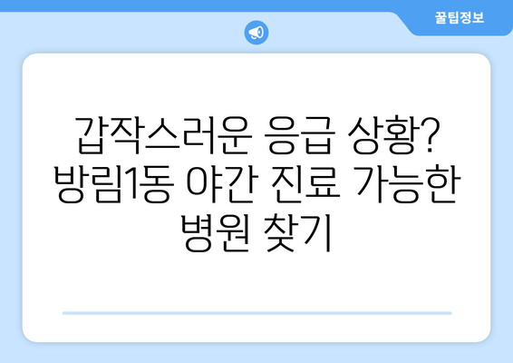 광주시 남구 방림1동 일요일 휴일 공휴일 야간 진료병원 리스트