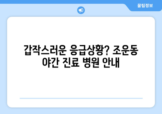 강원도 춘천시 조운동 일요일 휴일 공휴일 야간 진료병원 리스트