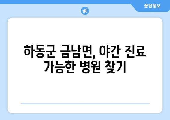 경상남도 하동군 금남면 일요일 휴일 공휴일 야간 진료병원 리스트