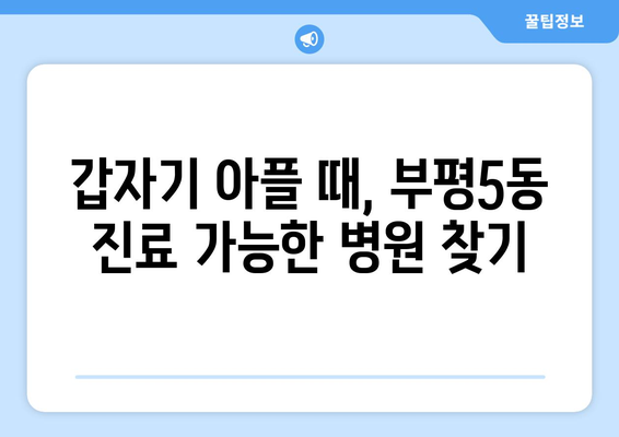 인천시 부평구 부평5동 일요일 휴일 공휴일 야간 진료병원 리스트