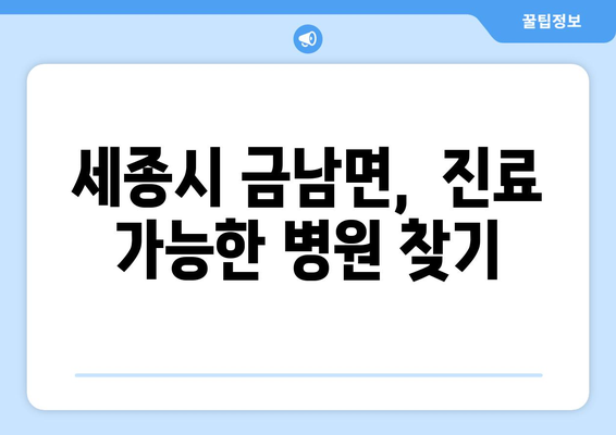 세종시 세종특별자치시 금남면 일요일 휴일 공휴일 야간 진료병원 리스트