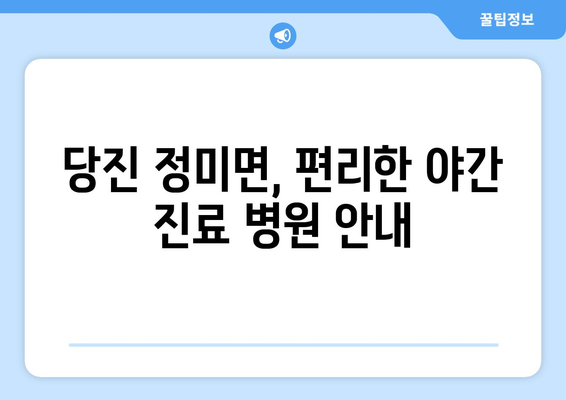 충청남도 당진시 정미면 일요일 휴일 공휴일 야간 진료병원 리스트