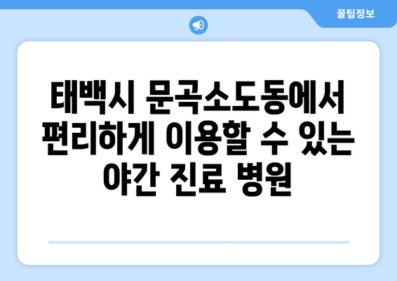 강원도 태백시 문곡소도동 일요일 휴일 공휴일 야간 진료병원 리스트