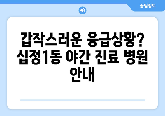 인천시 부평구 십정1동 일요일 휴일 공휴일 야간 진료병원 리스트