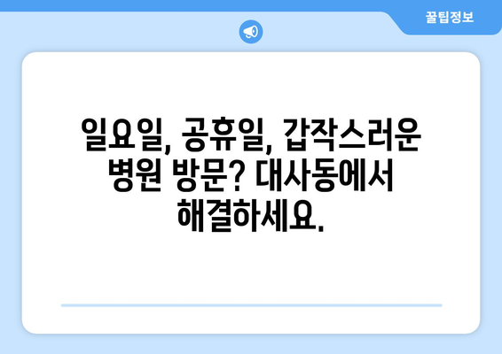 대전시 중구 대사동 일요일 휴일 공휴일 야간 진료병원 리스트